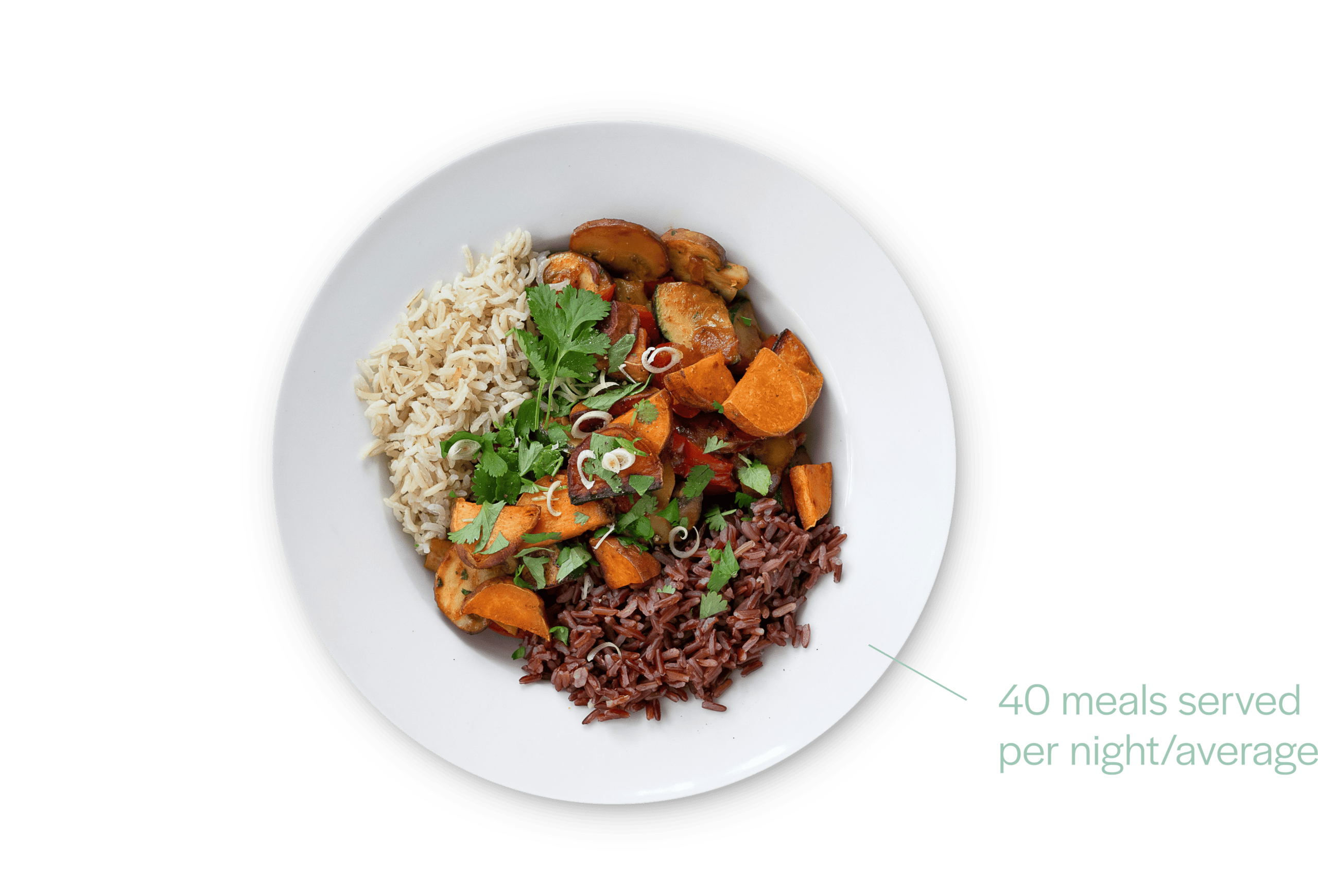 JAH_ImpactReport_Plate_1